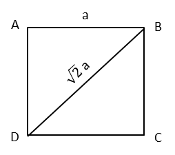 2018 CBSE Class 10 Q17A Square